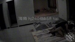 预览图11