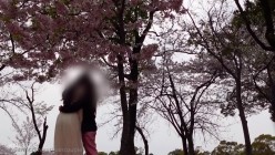 预览图9