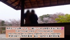 预览图12