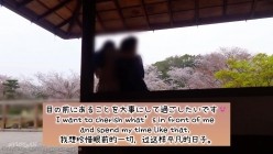 预览图13
