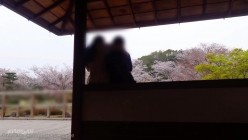 预览图16