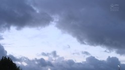 预览图16