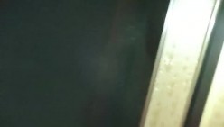 预览图6