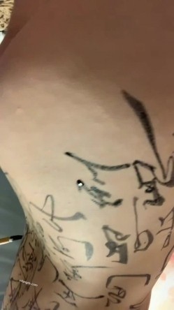 预览图13