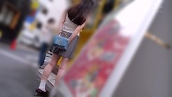 预览图4