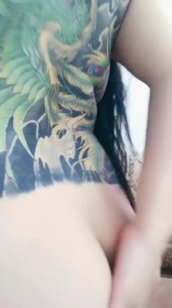 预览图4