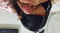 预览图14