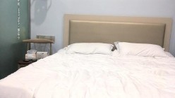 预览图9