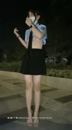 预览图4