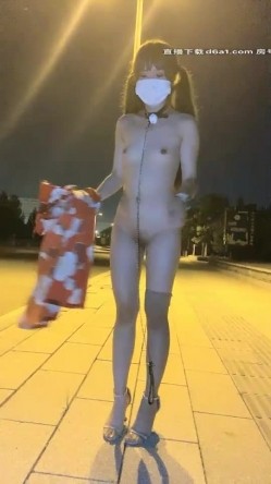 预览图8