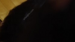 预览图16