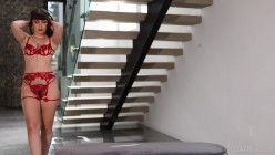预览图4