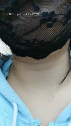 预览图4