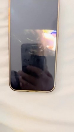 预览图16