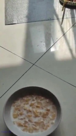 预览图15