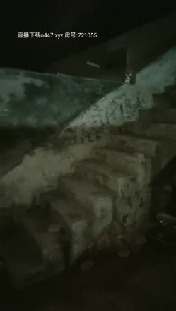 预览图5