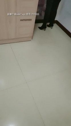 预览图9