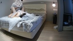 预览图8