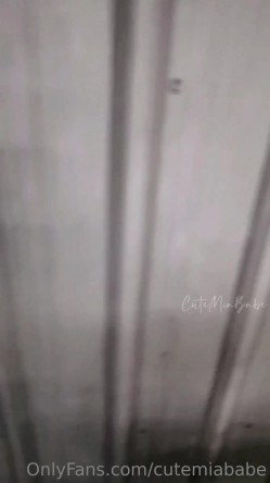 预览图5
