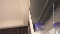 预览图9
