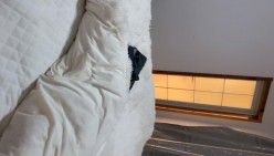 预览图14