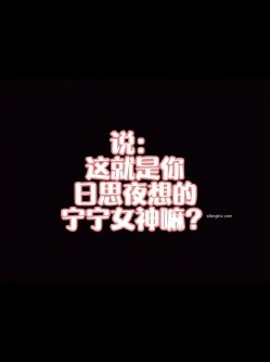 预览图6