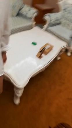 预览图2