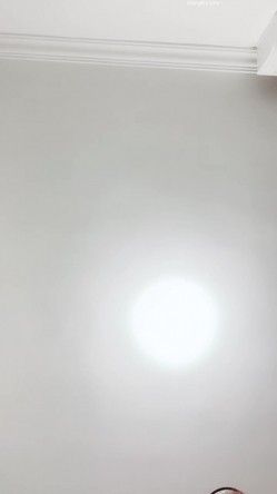 预览图6