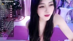 预览图4