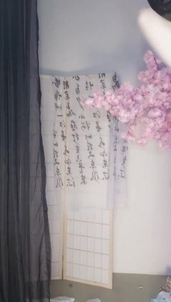 预览图8