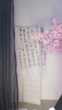 预览图9