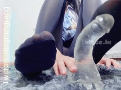 预览图5