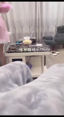 预览图4