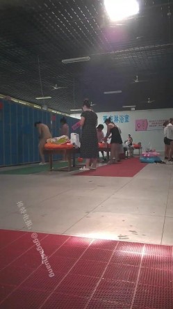 预览图9
