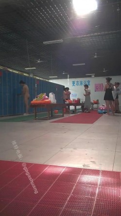 预览图13