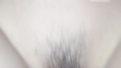 预览图15
