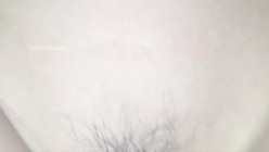 预览图16