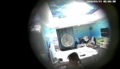 预览图1