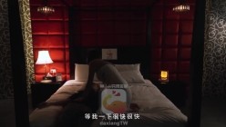 预览图5