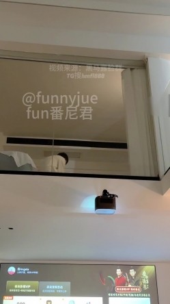 预览图11