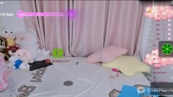 预览图11