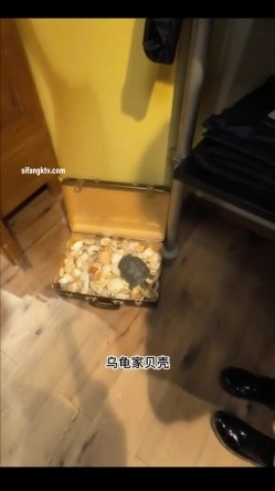 预览图8