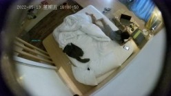 预览图3