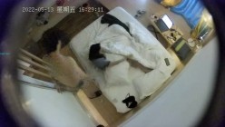 预览图5