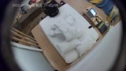 预览图7