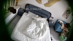 预览图7