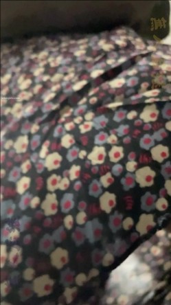 预览图12