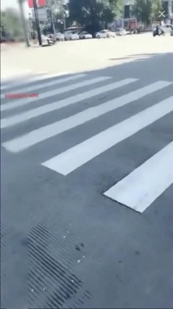 预览图4