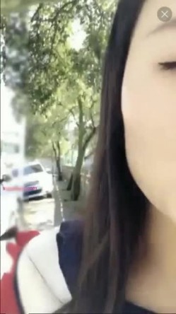预览图5
