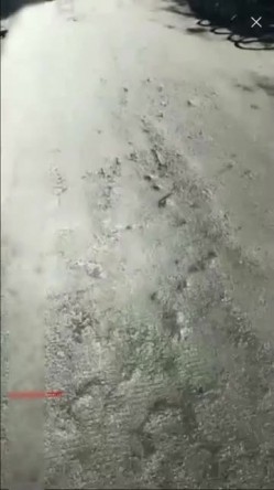 预览图10